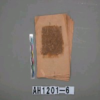 藏品(大廣金)的圖片